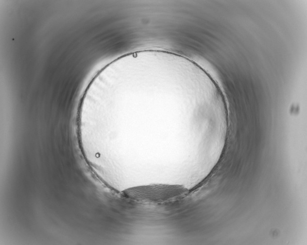 X0000093771104200711131206