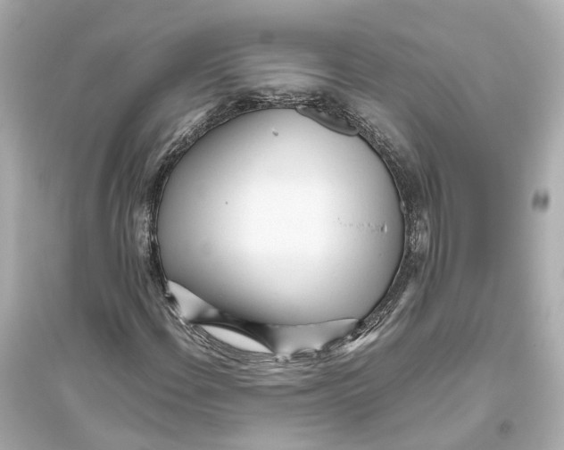 X0000093771108200711131205