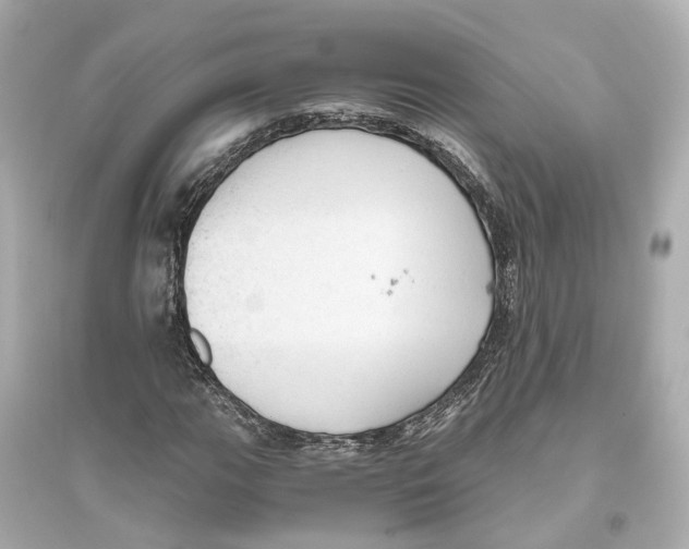 X0000093771111200711131205