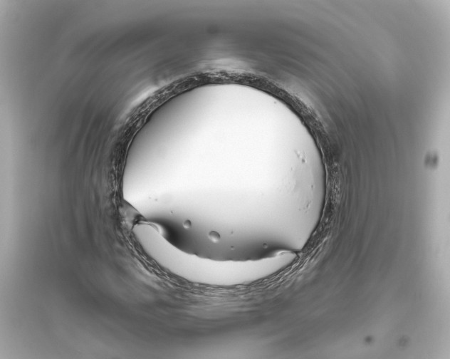 X0000093771112200711131205