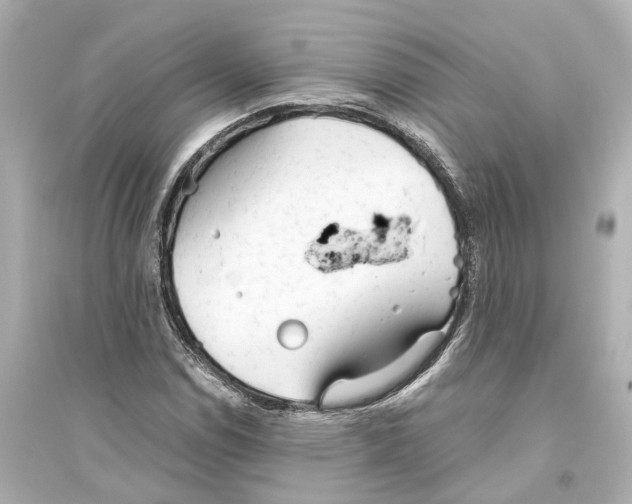 X0000093771114200711131205