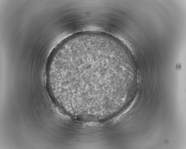 X0000093771117200711131205