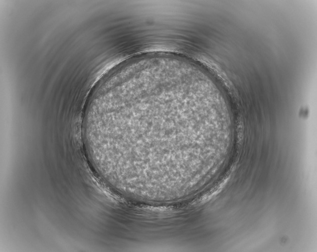 X0000093771121200711131205