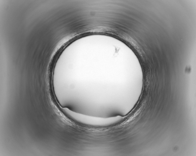 X0000093771122200711131205