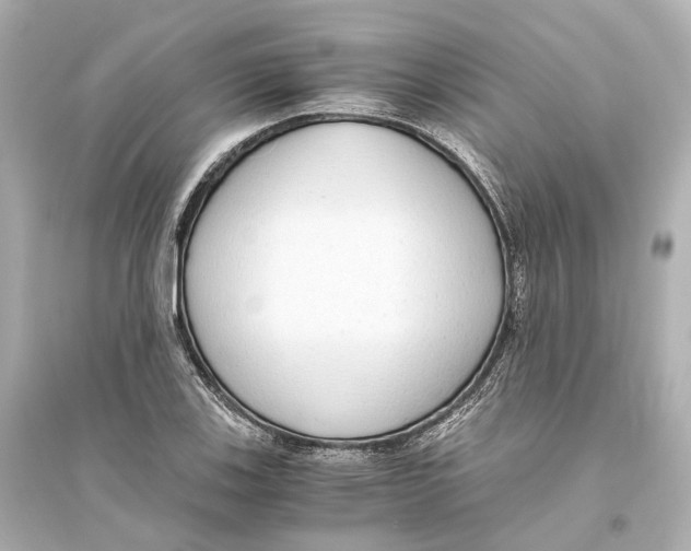 X0000093771123200711131205