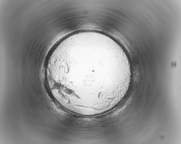 X0000093771125200711131205