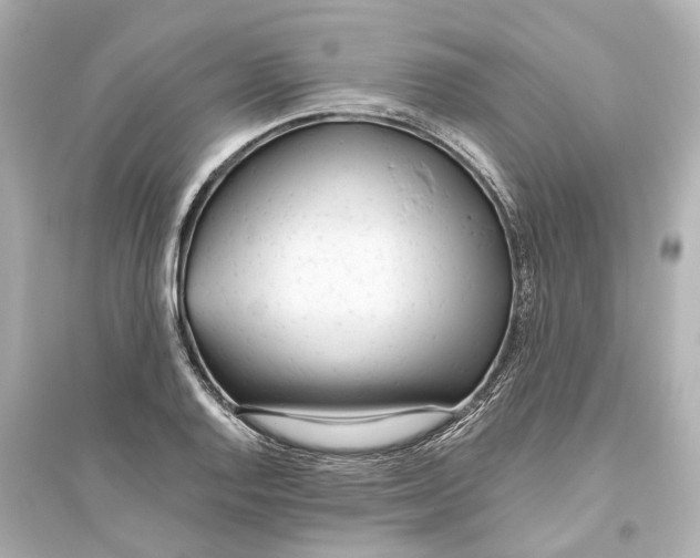 X0000093771128200711131205