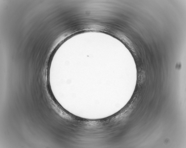 X0000093771130200711131205