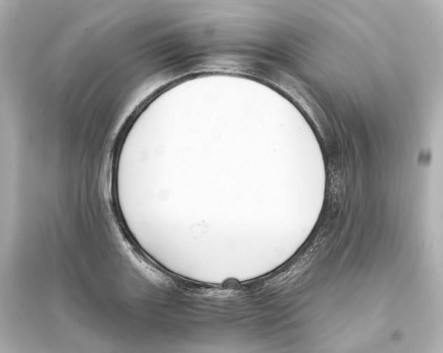 X0000093771131200711131205