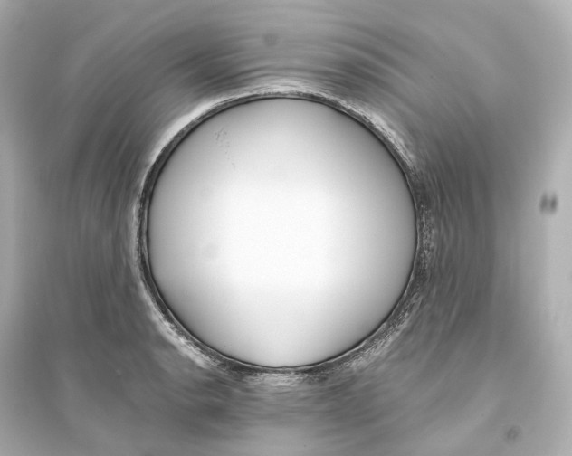 X0000093771134200711131205