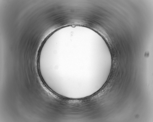 X0000093771135200711131205