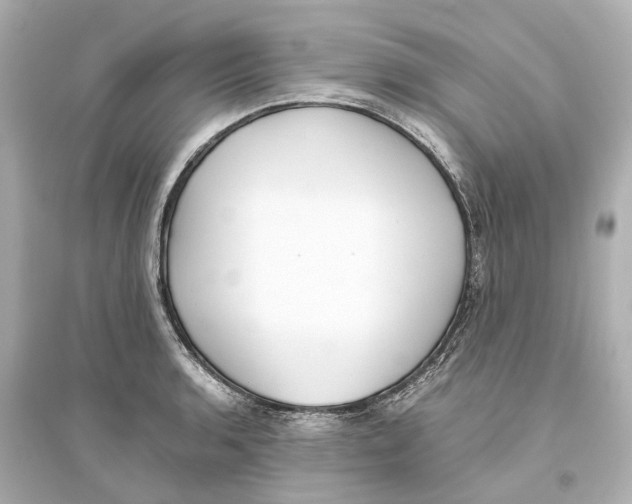 X0000093771136200711131205