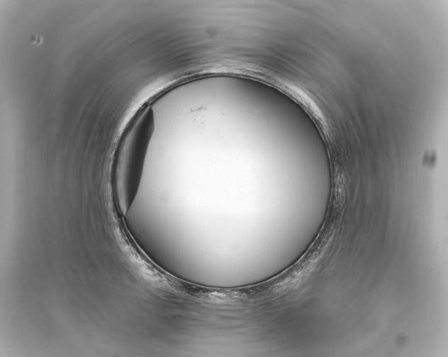 X0000093771138200711131205