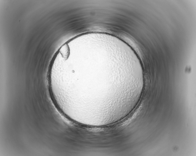 X0000093771141200711131205