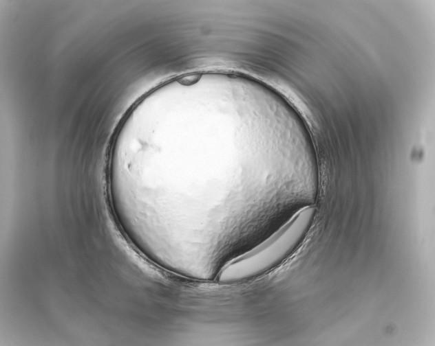 X0000093771142200711131205