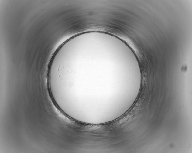 X0000093771143200711131206