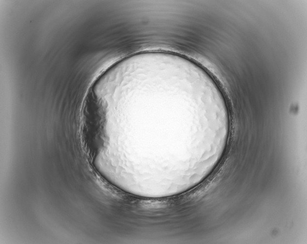 X0000093771145200711131206