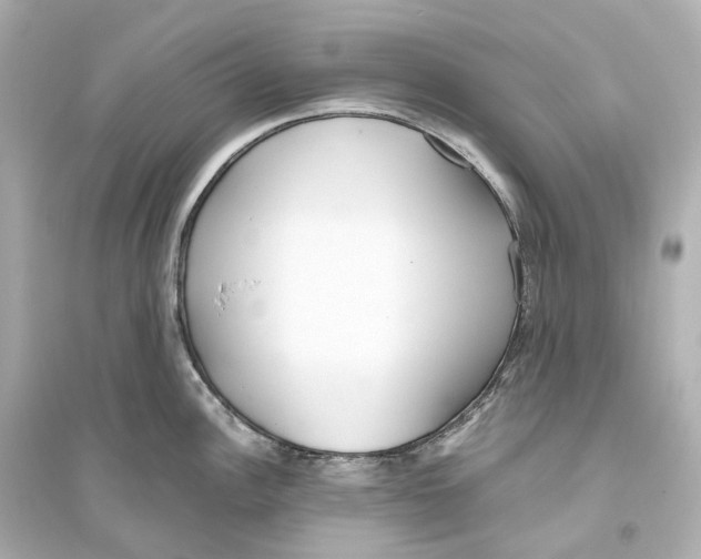 X0000093771148200711131206