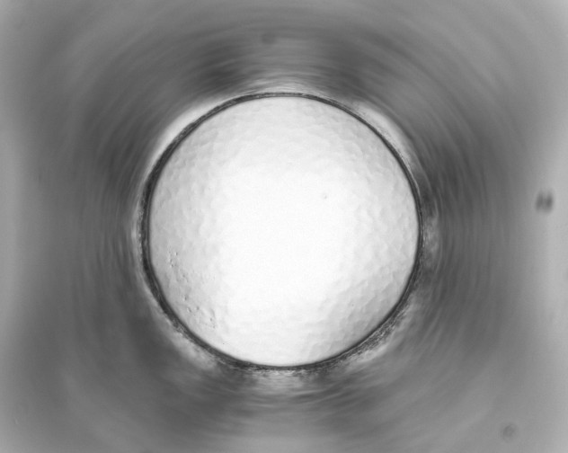 X0000093771149200711131206