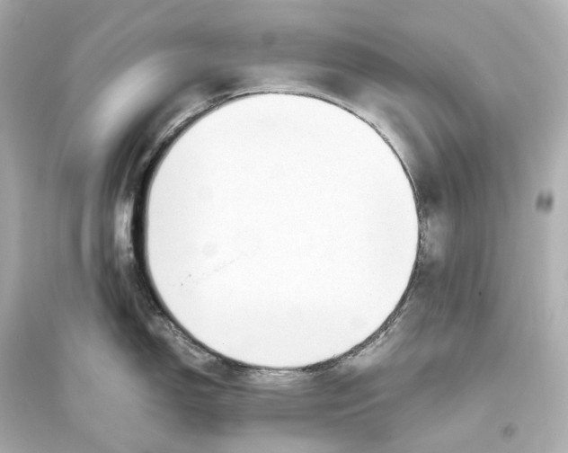 X0000093771150200711131206