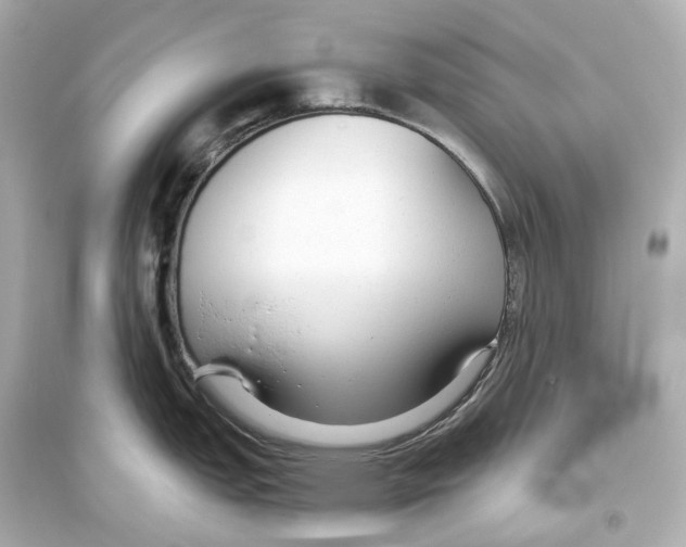 X0000093771151200711131206