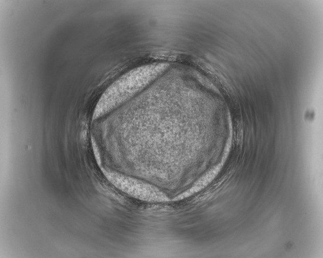 X0000093771154200711131205