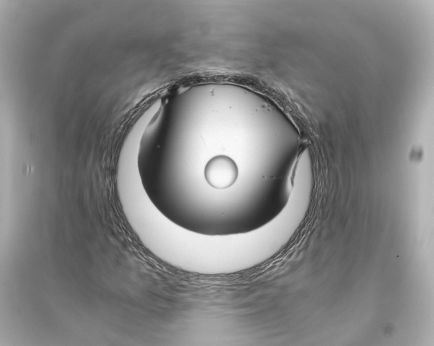 X0000093771157200711131205