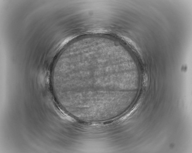 X0000093771161200711131205