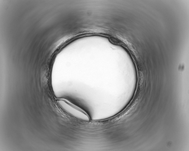 X0000093771163200711131205