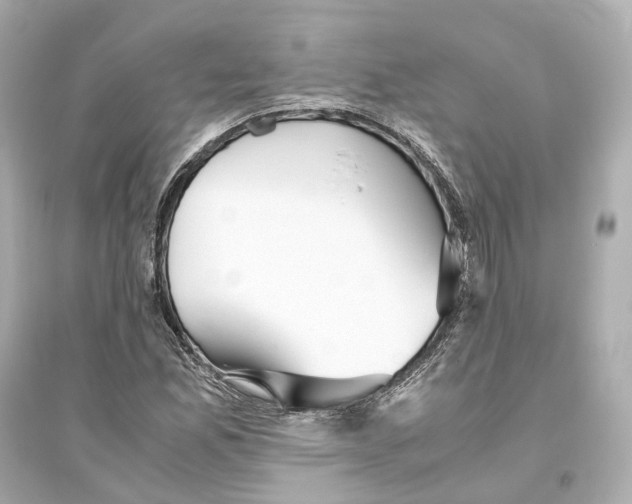 X0000093771165200711131205