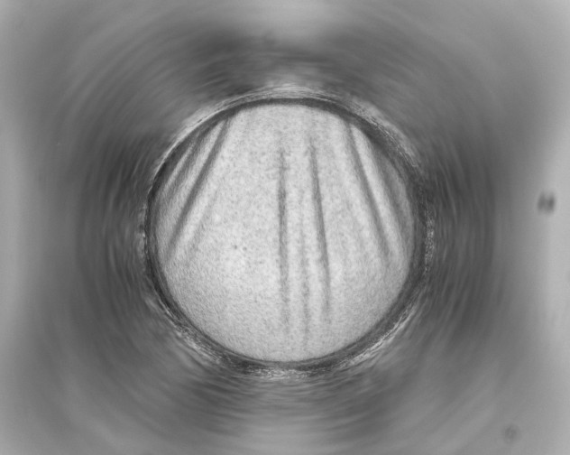 X0000093771170200711131205