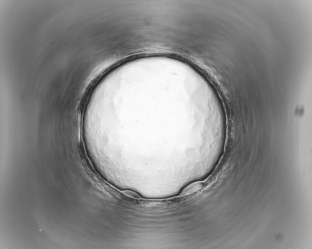 X0000093771171200711131205