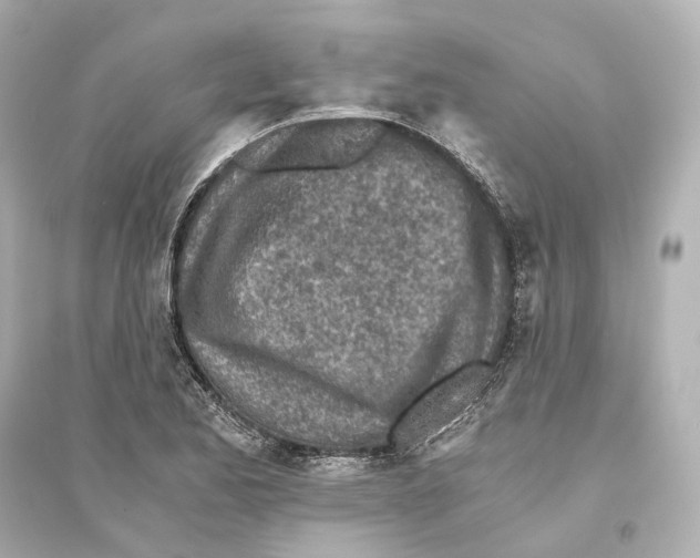 X0000093771173200711131205