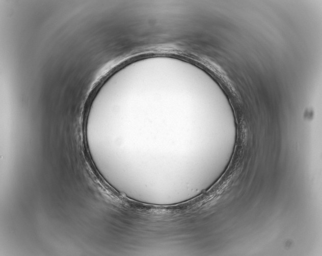 X0000093771176200711131205