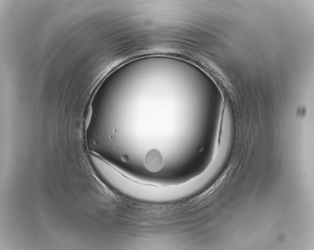 X0000093771177200711131205