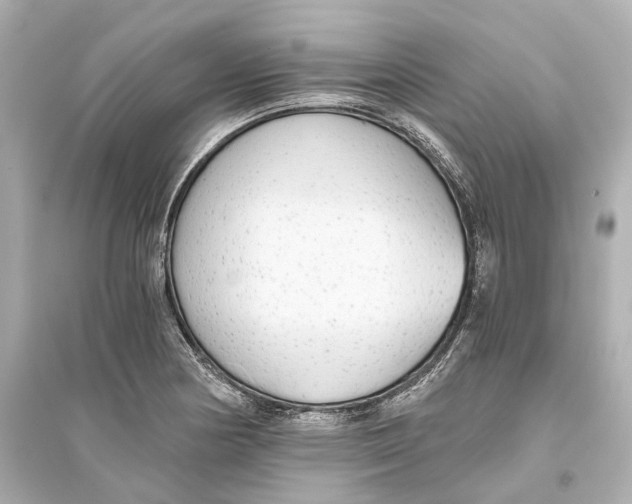 X0000093771178200711131205