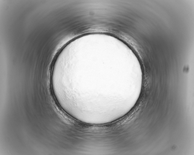 X0000093771179200711131205