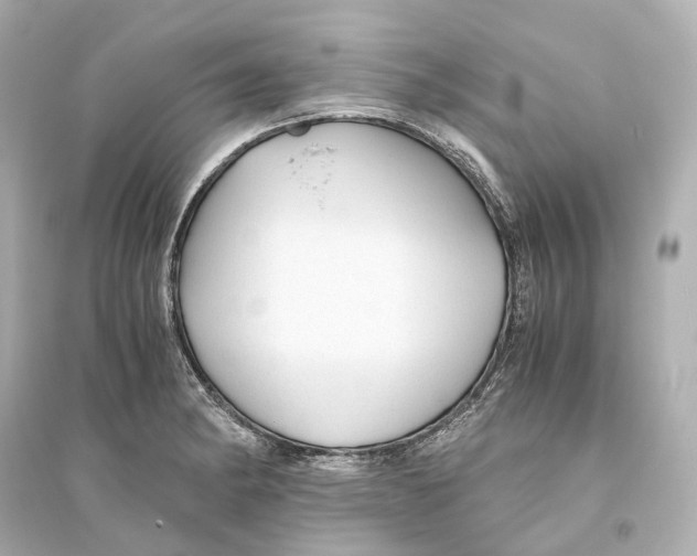 X0000093771182200711131205