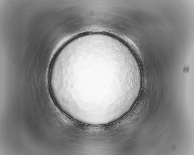 X0000093771183200711131205