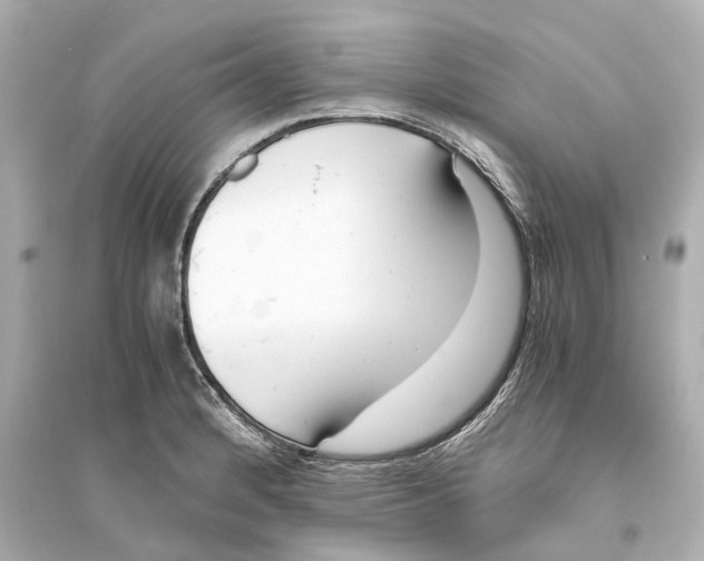 X0000093771184200711131205