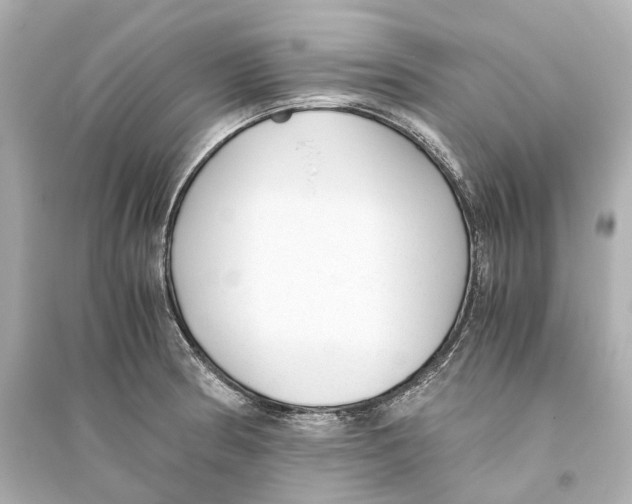 X0000093771186200711131205