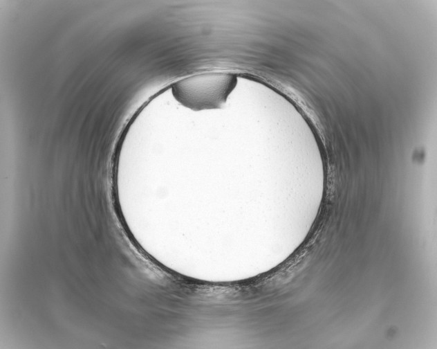 X0000093771187200711131204