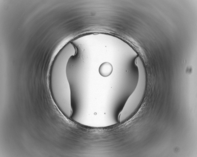 X0000093771188200711131204