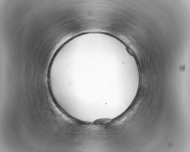 X0000093771189200711131204