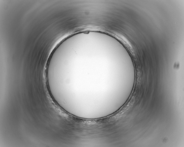 X0000093771190200711131204