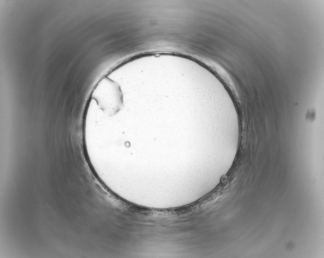 X0000093771191200711131204