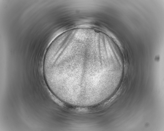 X0000093771194200711131204