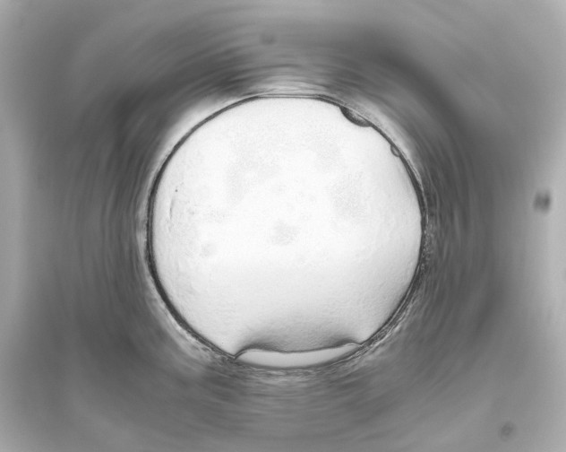 X0000093771195200711131204