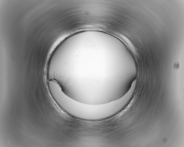 X0000093771196200711131204