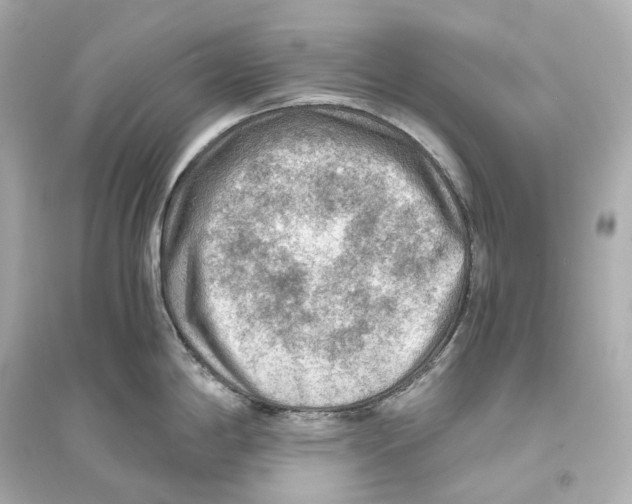 X0000093771198200711131204